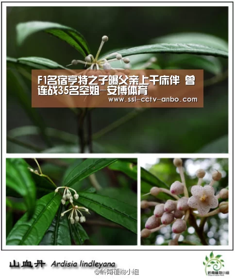 安博体育