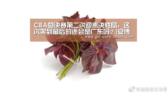 安博体育