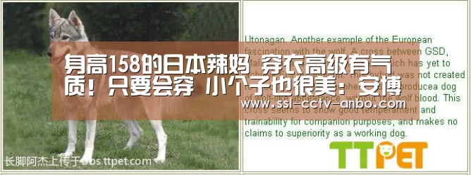 身高158的日本辣妈 穿衣高级有气质!只要会穿 小个子也很美:安博体育(图3) 安博体育